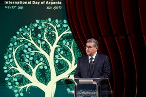 La ONU aplaude el liderazgo de Marruecos en la preservación del árbol de argán 3 8D0A5CA4 6D5F 4844 91DC 54063755FA0D