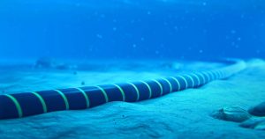 subsea cable 1024x538 1
