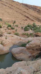 IMG 20211206 WA0176