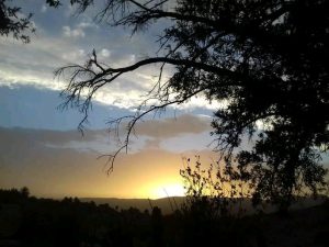 IMG 20211209 WA0013