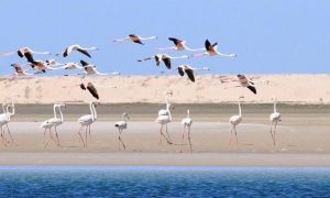 IMG 20220203 WA0093