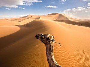 Viajar a Marruecos