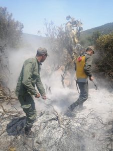 Tetuán. Continúan los esfuerzos para controlar los incendios 1 IMG 20220715 WA0005