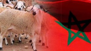 عيد الأضحى المبارك في المغرب