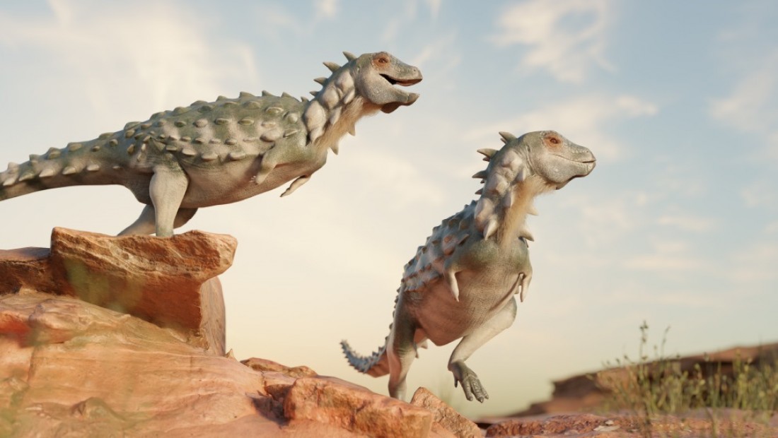 Argentina trae luz sobre el origen de dinosaurios acorazados 