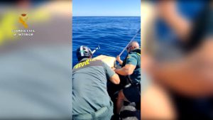 España incauta 3500 kg de hachís en 100 fardos 4 narcotrafico 3500 huelva editada4