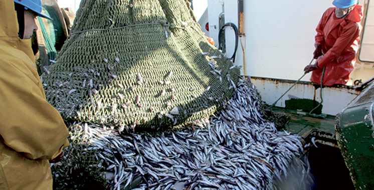Peche Poissons