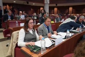 assemblee parlementaire de l union pour la mediterranee
