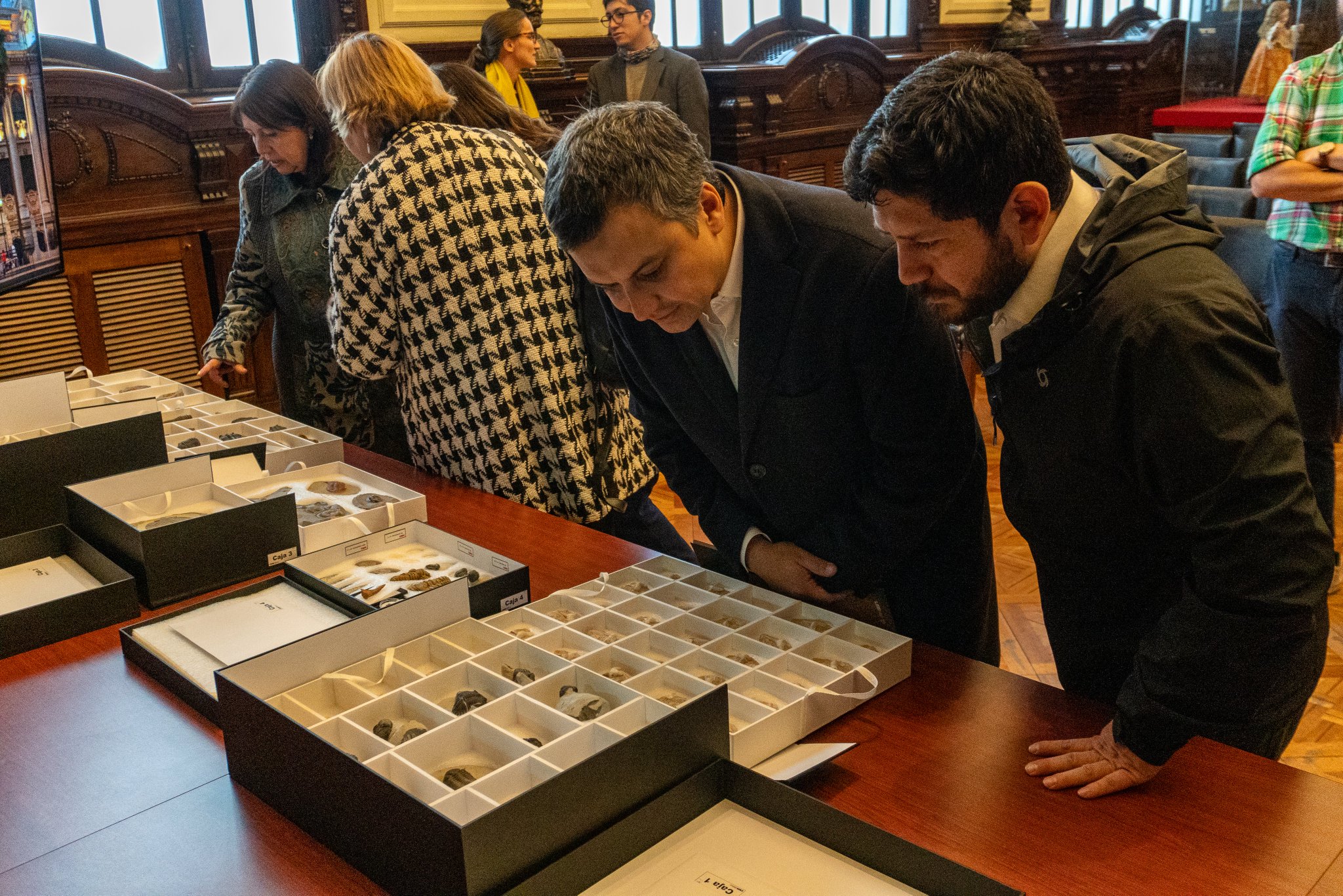 Marruecos recupera de Chile piezas fósiles únicas que datan de hasta 400 millones de años 3 IMG 8809