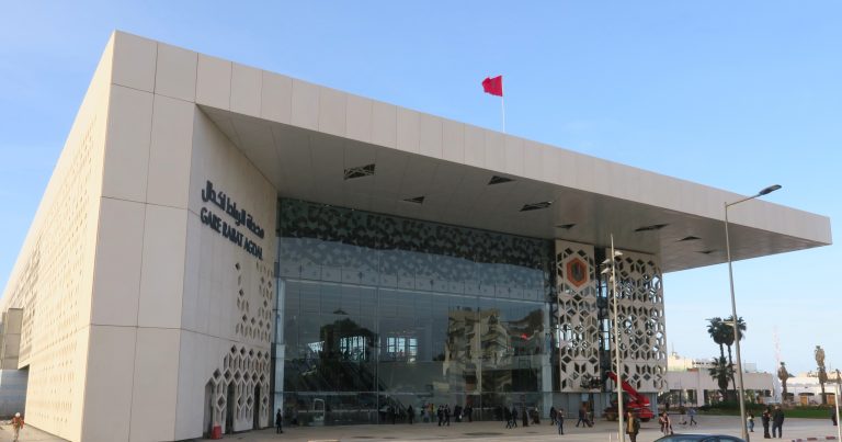 IMG 6106 768x403 1